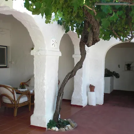 Country house Agroturisme Binisaid